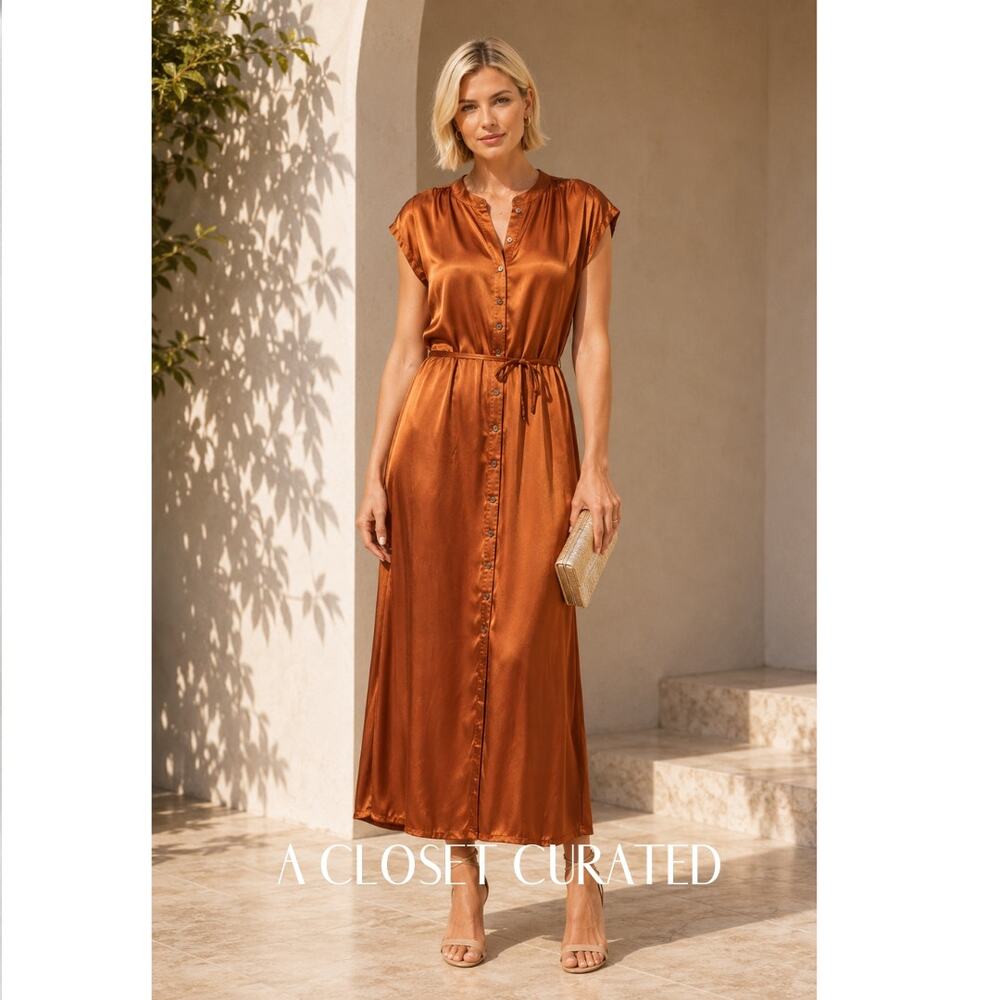 Raquel Allegra Dress 2 NEW